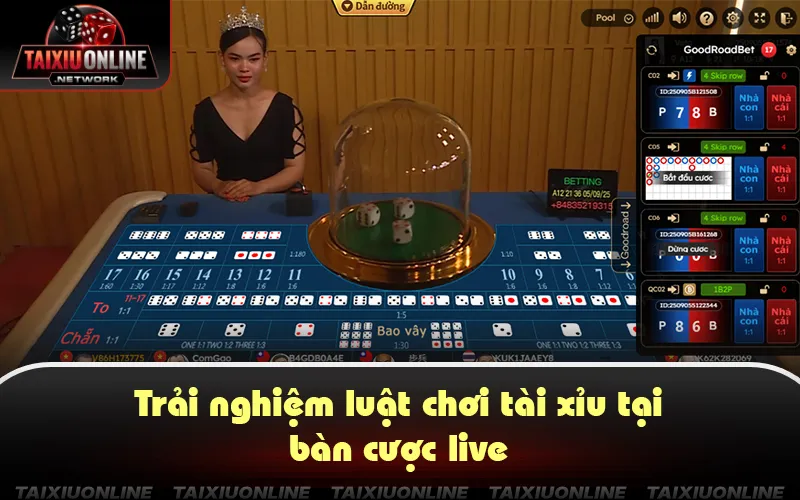 Bàn cược livestream tương tác trực tiếp Dealer